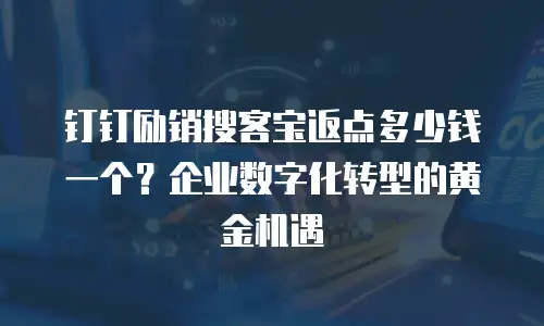钉钉励销搜客宝返点多少钱一个？企业数字化转型的黄金机遇