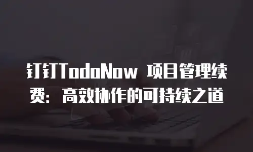 钉钉TodoNow 项目管理续费：高效协作的可持续之道