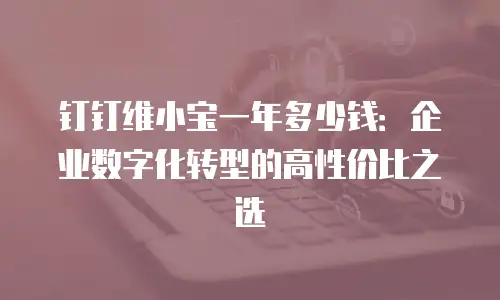 钉钉维小宝一年多少钱：企业数字化转型的高性价比之选