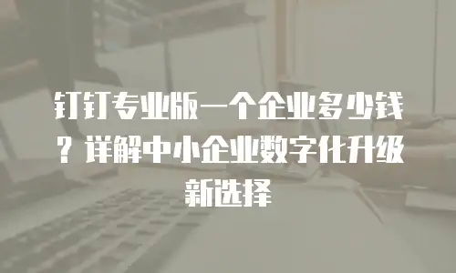 钉钉专业版一个企业多少钱？详解中小企业数字化升级新选择