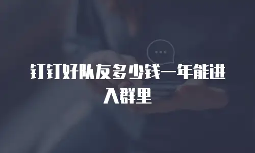 钉钉好队友多少钱一年能进入群里
