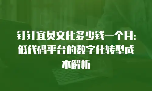 钉钉宜员文化多少钱一个月：低代码平台的数字化转型成本解析