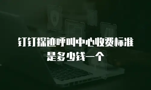 钉钉探迹呼叫中心收费标准是多少钱一个