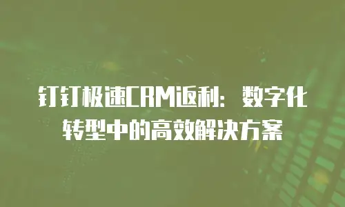钉钉极速CRM返利：数字化转型中的高效解决方案