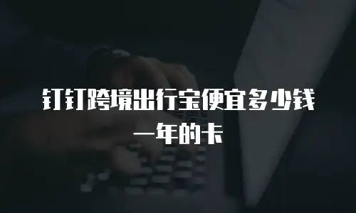 钉钉跨境出行宝便宜多少钱一年的卡