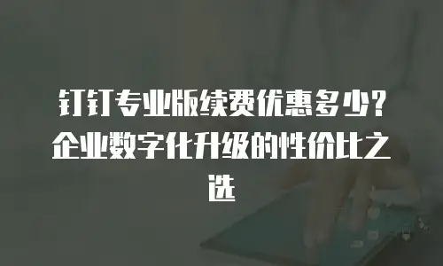 钉钉专业版续费优惠多少？企业数字化升级的性价比之选
