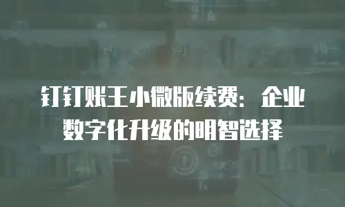 钉钉账王小微版续费：企业数字化升级的明智选择