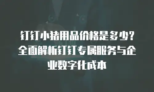钉钉小猪用品价格是多少？全面解析钉钉专属服务与企业数字化成本