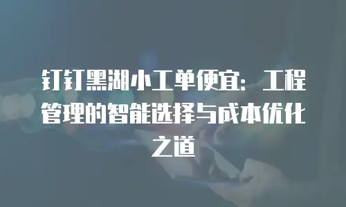 钉钉黑湖小工单便宜：工程管理的智能选择与成本优化之道