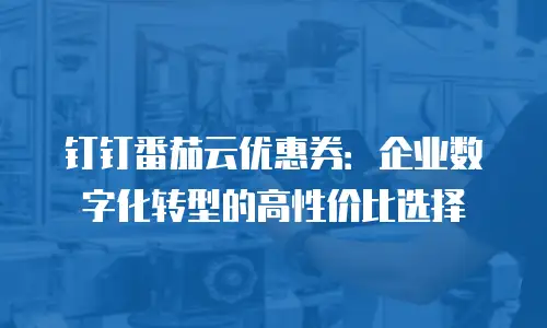 钉钉番茄云优惠券：企业数字化转型的高性价比选择