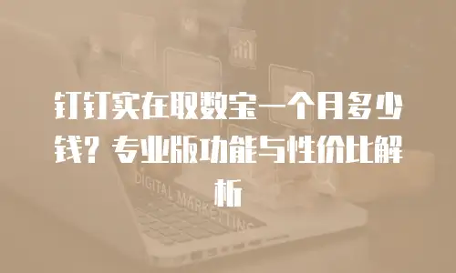 钉钉实在取数宝一个月多少钱？专业版功能与性价比解析