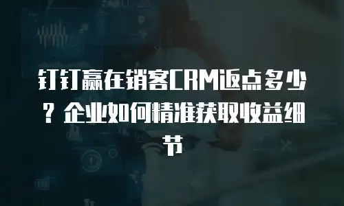钉钉赢在销客CRM返点多少？企业如何精准获取收益细节