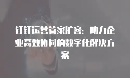 钉钉运营管家扩容：助力企业高效协同的数字化解决方案