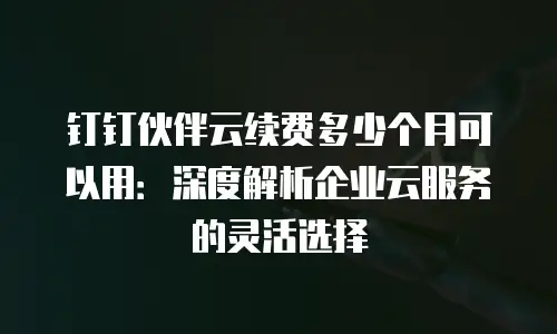钉钉伙伴云续费多少个月可以用：深度解析企业云服务的灵活选择