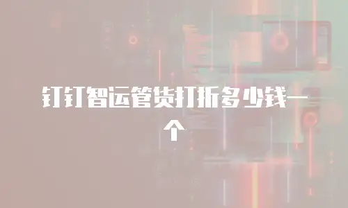 钉钉智运管货打折多少钱一个