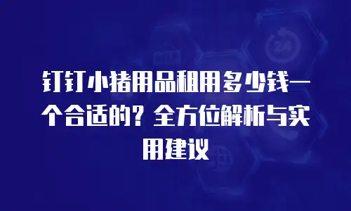 钉钉小猪用品租用多少钱一个合适的？全方位解析与实用建议