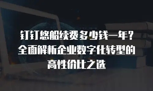 钉钉悠船续费多少钱一年？全面解析企业数字化转型的高性价比之选