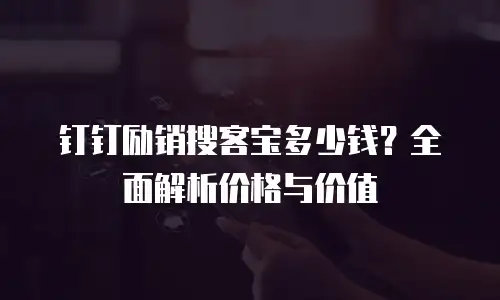 钉钉励销搜客宝多少钱？全面解析价格与价值