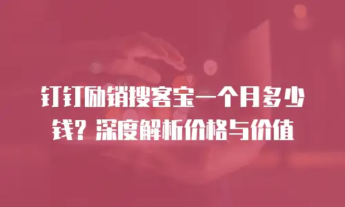 钉钉励销搜客宝一个月多少钱？深度解析价格与价值