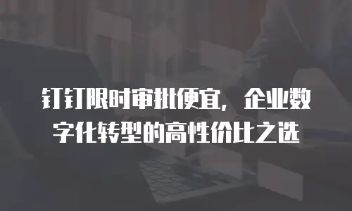 钉钉限时审批便宜，企业数字化转型的高性价比之选