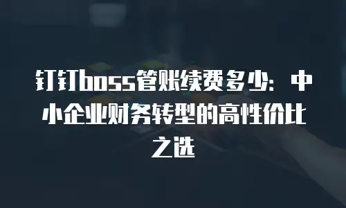 钉钉boss管账续费多少：中小企业财务转型的高性价比之选