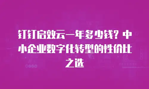 钉钉启效云一年多少钱？中小企业数字化转型的性价比之选