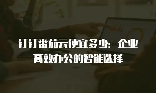 钉钉番茄云便宜多少：企业高效办公的智能选择