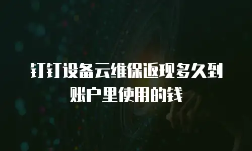 钉钉设备云维保返现多久到账户里使用的钱