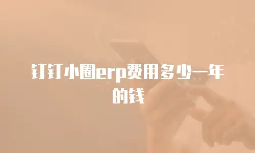 钉钉小圈erp费用多少一年的钱