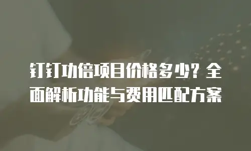 钉钉功倍项目价格多少？全面解析功能与费用匹配方案