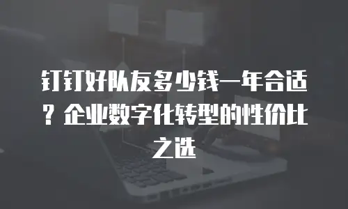钉钉好队友多少钱一年合适？企业数字化转型的性价比之选