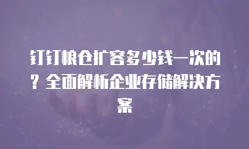钉钉粮仓扩容多少钱一次的？全面解析企业存储解决方案