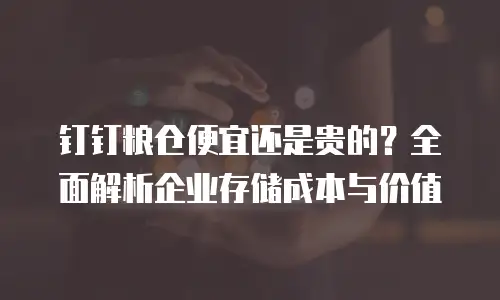 钉钉粮仓便宜还是贵的？全面解析企业存储成本与价值