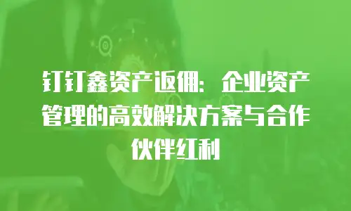 钉钉鑫资产返佣：企业资产管理的高效解决方案与合作伙伴红利