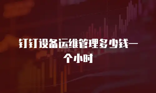 钉钉设备运维管理多少钱一个小时