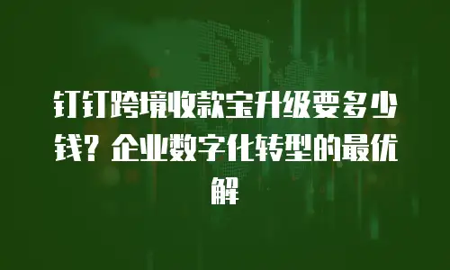 钉钉跨境收款宝升级要多少钱？企业数字化转型的最优解