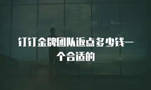 钉钉金牌团队返点多少钱一个合适的