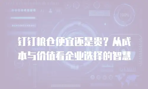 钉钉粮仓便宜还是贵？从成本与价值看企业选择的智慧