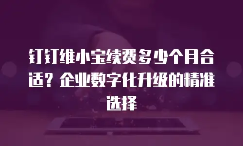 钉钉维小宝续费多少个月合适？企业数字化升级的精准选择