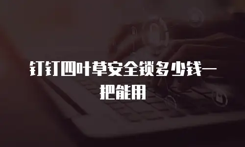 钉钉四叶草安全锁多少钱一把能用