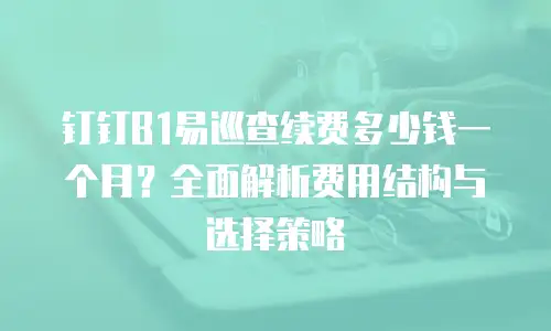 钉钉B1易巡查续费多少钱一个月？全面解析费用结构与选择策略
