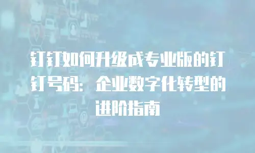钉钉如何升级成专业版的钉钉号码：企业数字化转型的进阶指南