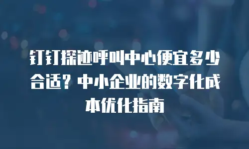 钉钉探迹呼叫中心便宜多少合适？中小企业的数字化成本优化指南