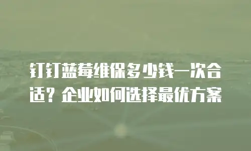 钉钉蓝莓维保多少钱一次合适？企业如何选择最优方案