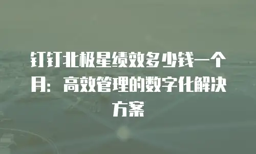 钉钉北极星绩效多少钱一个月：高效管理的数字化解决方案