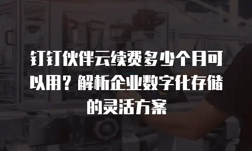 钉钉伙伴云续费多少个月可以用？解析企业数字化存储的灵活方案