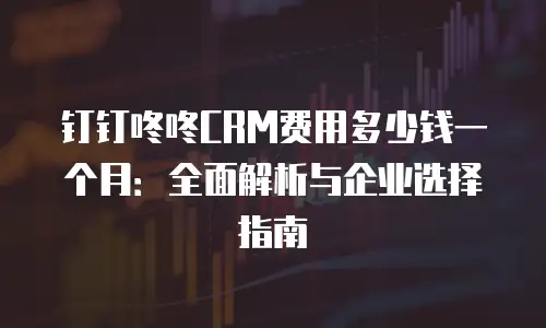 钉钉咚咚CRM费用多少钱一个月：全面解析与企业选择指南