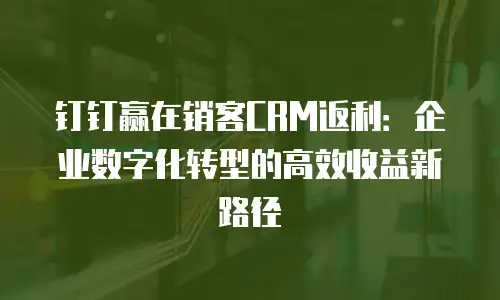 钉钉赢在销客CRM返利：企业数字化转型的高效收益新路径