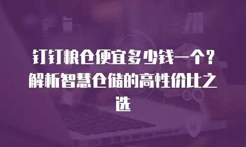 钉钉粮仓便宜多少钱一个？解析智慧仓储的高性价比之选