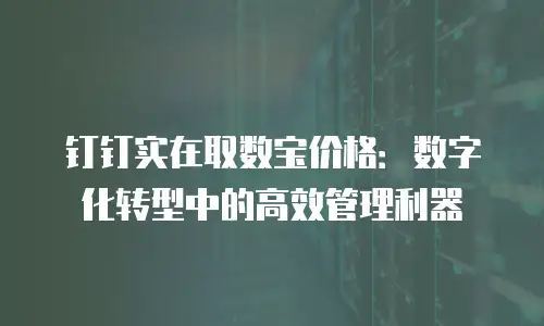 钉钉实在取数宝价格：数字化转型中的高效管理利器